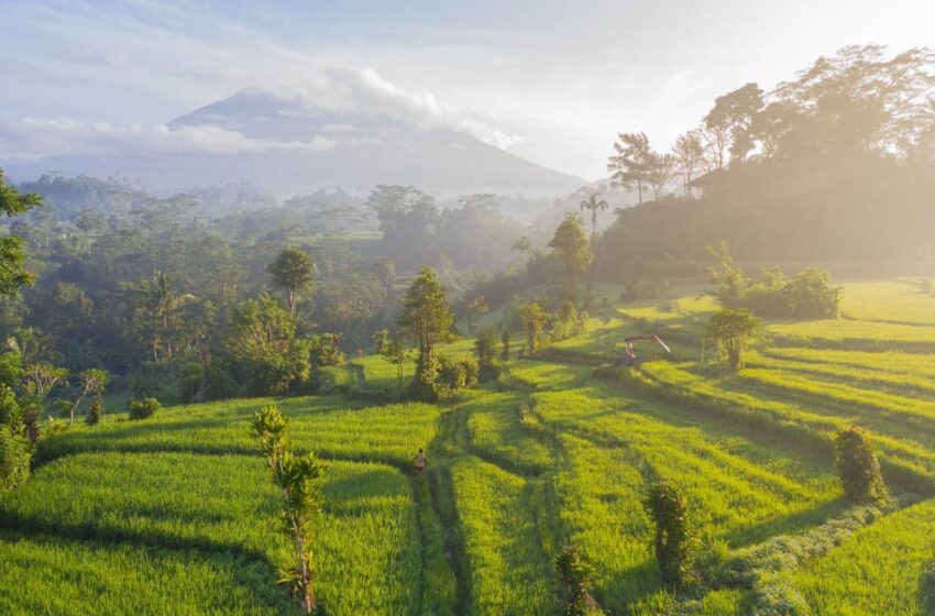  Hidden Gems in Bali, Discover the Island’s Secret Waterfalls, Beaches & Temples