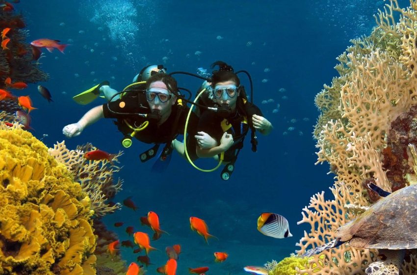  Bali Best Scuba Diving Sites & What to Expect