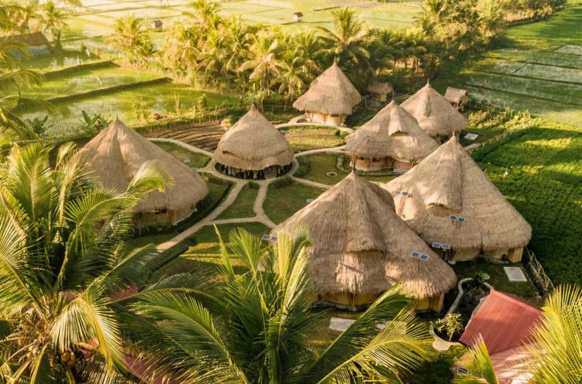  Best Eco-Friendly Activities in Bali for Sustainable Travelers