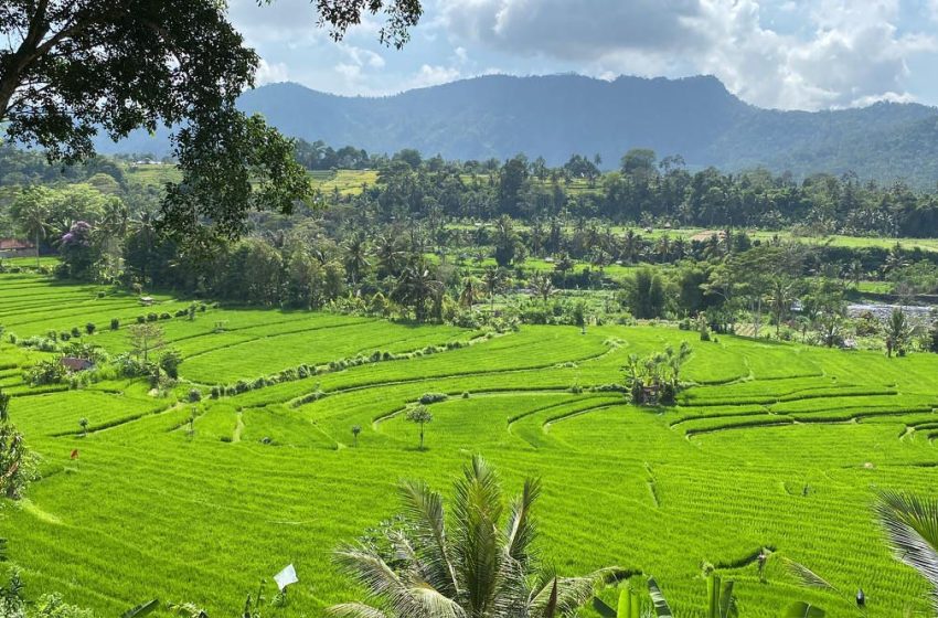  9 Things No One Tells You About Traveling to Bali (But Should)