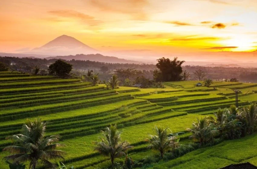  Traditions of Taste and Devotion, A Cultural Day from Tanah Lot to Jatiluwih